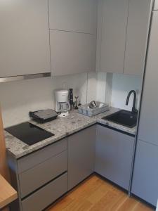 Dapur atau dapur kecil di Šišarka Jahorina