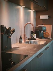 a kitchen with a sink and a counter top at Boerenerf Lodge - Erf 1 in Kampen +13 photos