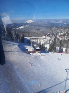Šišarka Jahorina semasa musim sejuk