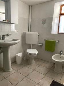 un bagno con un water e un lavandino di La casetta del cervo a Campodolcino Altre 24 foto