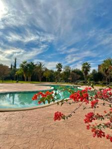 a swimming pool with red flowers in front of it at Private Riad Alemania in Marrakesh - Pool - Rooftop in Marrakech