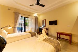 Gallery image of The Shrub Lodge in Victoria Falls