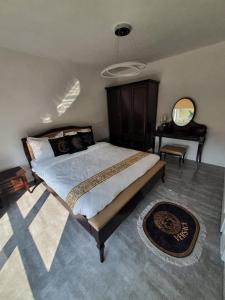 a bedroom with a large bed and a mirror at Ostoja Bachus in Sawin