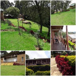 Zahrada ubytování Ruhija Gorilla safari lodge + 16 fotografií