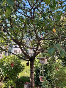 a bird feeder is hanging from a tree at Nandi-HolidaySport&Relax-Apt in Tarvisio