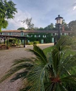 ein Gebäude mit einem Straßenlicht und einer Palme in der Unterkunft Moulin de Monpoisson in Le Puy