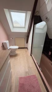 a bathroom with a shower and a toilet and a window at La Paisible - Maison 6 pers piscine - Le Mans centre in Le Mans