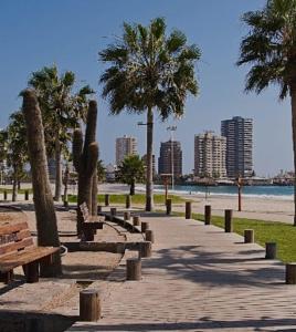 Phong cảnh thiên nhiên gần khách sạn căn hộ