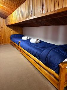 2 Etagenbetten in einem Zimmer mit blauer Bettwäsche in der Unterkunft La Casa di Mosk in Castel di Sangro