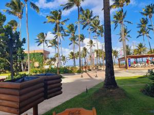 Naturlandskabet i nærheden af lejligheden