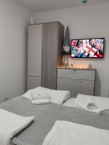 una camera da letto con due letti e una TV a schermo piatto di RAS ROYAL TRESKA ESCAPE Kopaonik a Kopaonik Altre 10 foto