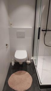 a bathroom with a toilet and a shower with a rug at Falcon in Middelkerke