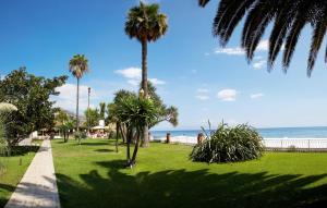 a palm tree in a park near the beach at Hotel Caparena in Taormina