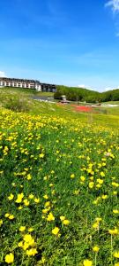 Paesaggio naturale nelle vicinanze della casa vacanze