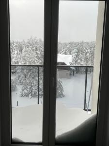 a window with a view of a snow covered yard at Vila Leona E3 in Divčibare