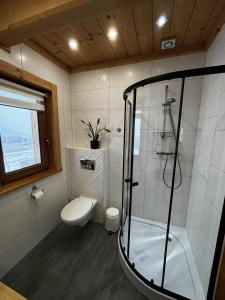 a bathroom with a shower and a toilet at Witowianskie Domki Private Jacuzzi & Mountain View near Zakopane in Dzianisz +22 photos
