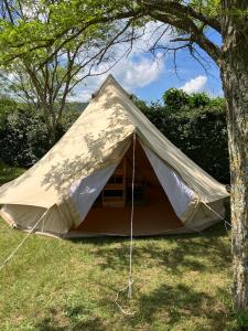 Fotografie z fotogalerie ubytování Camping Carrefour de l'Ardèche v destinaci Saint-Remèze