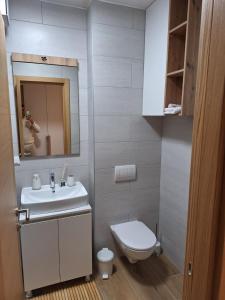 a bathroom with a toilet and a sink and a mirror at Apartman Vučko Dalia - Aparthotel Vučko in Jahorina