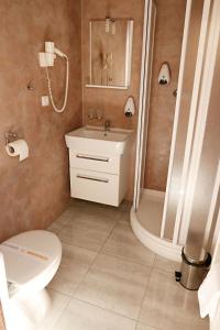 ein Bad mit einem WC, einer Dusche und einem Waschbecken in der Unterkunft Pension Viola in Domažlice