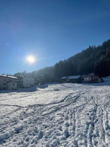 Příroda nedaleko apartmánu