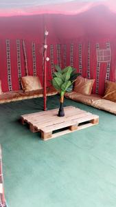 a potted plant on a wooden table in a room at ROYAl FINS CAMP in Fins