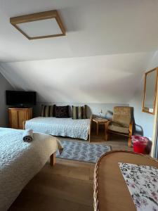 a living room with two beds and a couch at Pod Cisowcem in Sromowce Wyżne