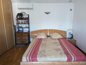 Postel nebo postele na pokoji v ubytování Ecully logement privé attenant de la maison principale