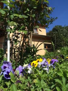 Zahrada ubytování Ecully logement privé attenant de la maison principale