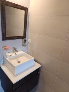 a bathroom with a white sink and a mirror at Tigre 3 ambientes -Estacion fluvial in Tigre