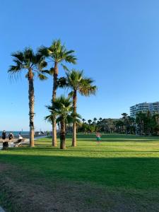 a park with palm trees and a person walking on the grass at Torremar - Magic World - Marina d'or in El Borseral +18 photos
