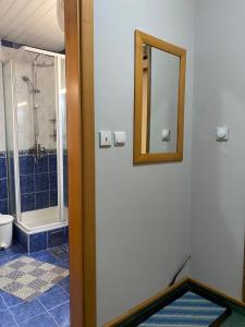 科帕奥尼克Kopaonik Vila Nikola 306 centar的带淋浴和镜子的浴室