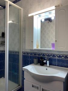 科帕奥尼克Kopaonik Vila Nikola 306 centar的配有水槽、淋浴和镜子的浴室