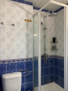科帕奥尼克Kopaonik Vila Nikola 306 centar的浴室配有马桶和玻璃淋浴房