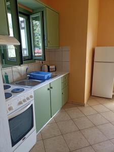 a kitchen with a stove and a sink and a refrigerator at Vegera Apartment M in Vasilikiádhes +16 photos
