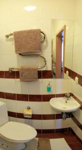 een badkamer met een toilet en een wastafel bij VIP on Naberezhnaya str in Nikolayev