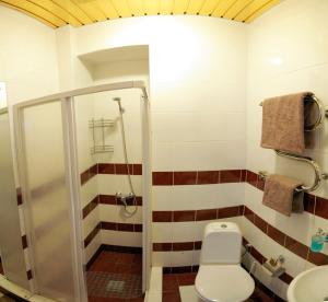ムィコラーイウにあるVIP on Naberezhnaya strのトイレとシャワー付きのバスルーム +6枚の写真