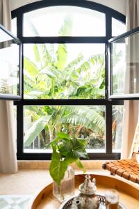 Сад в RIAD OASIS D'ASILAH