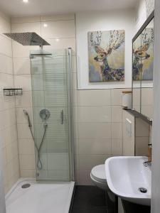 Koupelna v ubytování Alpenblick - Zentralgelegene 2-Zimmer-Wohnung