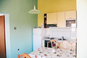 Kuchyňa alebo kuchynka v ubytovaní Apartments Darko