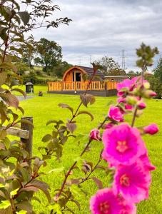 Zahrada ubytování Cairnfold Cabins