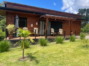 ein Holzhaus mit einer Veranda und einer Palme im Hof in der Unterkunft Casinha na serra para até 4 pessoas in Nova Petrópolis