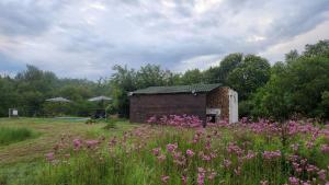 a small brick building in a field with flowers at Porcupine River View Tent in Skeerpoort
