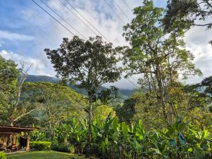 a view of a forest with mountains in the background at Cabaña Campestre de Descanso in Melgar