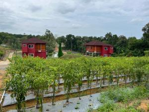Gallery image of Cradle by the Sea in Pulau Sekerah +83 photos