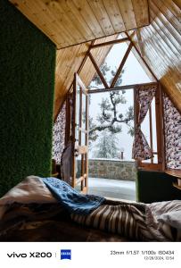 Zimmer mit einer grünen Wand und einem großen Fenster in der Unterkunft Eva Cabins in Dalhousie