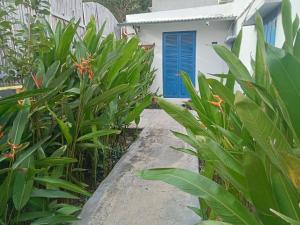 a garden path with a blue door in a house at Homestay Miền Biển Vĩnh Hy 2 in Vĩnh Hy
