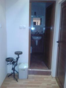 Vonios kambarys apgyvendinimo įstaigoje Guesthouse Tanya