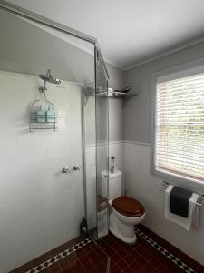 une salle de bain avec toilettes et douche en verre dans l'établissement Shinglers Cottage, à Mayers Flat
