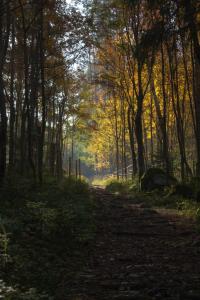 Naturlandskabet i nærheden af villaen