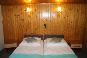 a bedroom with two beds with wooden walls and lights at Róża in Szklarska Poręba